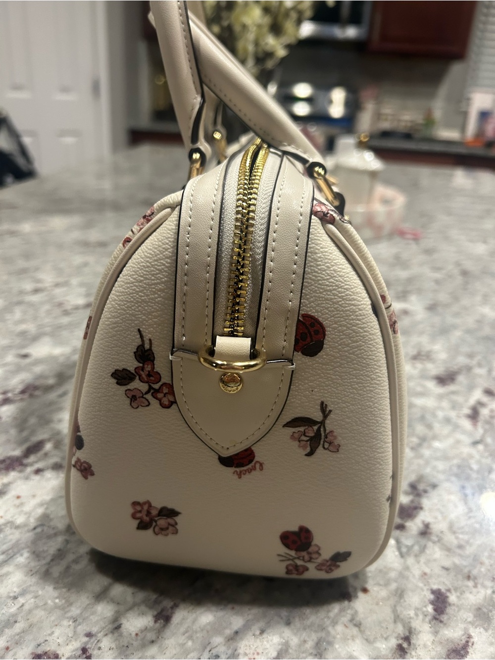 Coach Cream Satchel with Floral and Ladybug Motif - Picture 6 of 7
